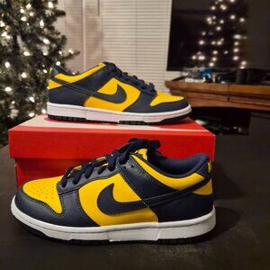 Nike Dunk Low Michigan AUTHENTIC